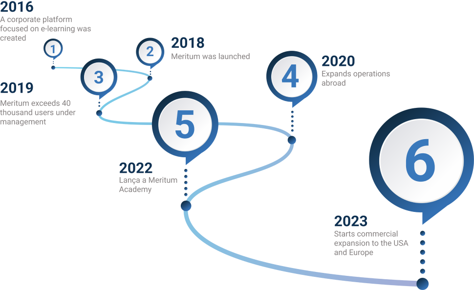 Merit Process Timeline Meritum